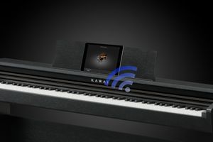 KDP 120