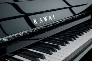 Novus NV 6